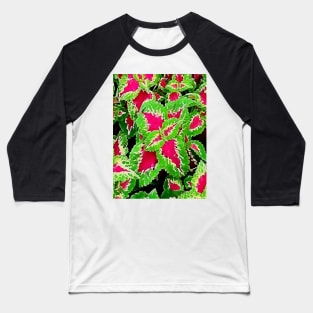 coleus leaves pattern Baseball T-Shirt